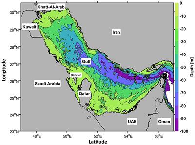 Atmosphere-Ocean Coupled Variability in the Arabian/Persian Gulf